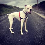 Ragnar Colin Lindsey - @ragnarthegreatone - Instagram