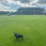 Colin Lloyd - @lloydy130370 - Instagram