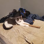 @colin_lunt - Instagram