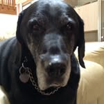 Colin Matthews - @colin7652 - Instagram