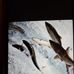 Colin Matthews - Facebook