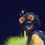 Colin Maxwell - @colinmaxwell17538 - Instagram