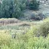 Colin Maxwell - @colin.maxwell28 - TikTok