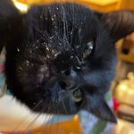 Colin McHugh - @mchugh12_ - Instagram