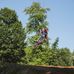 Colin McHugh - Facebook