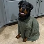 Colin McLeod - @colin_mc89 - Instagram