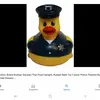 duck  man - @colinmcshane6 - TikTok