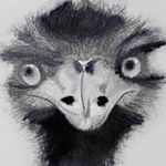 Colin Millar - @colin.millar1 - Instagram