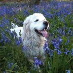 Colin Moss - Facebook