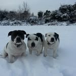 Colin Newton - @colin.newton.5682 - Instagram