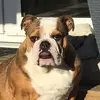Colin Newton - @colin.newton8 - TikTok