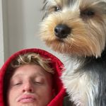 Colin O'Keefe - @colinokeefe_ - Instagram