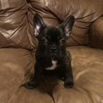 Colin Olson - @colinolson979 - Instagram