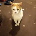 Colin Orton - Facebook