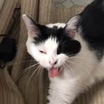 Colin O,Shaughnessy - @pale.irish.kid - Instagram