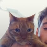 Colin O’Shaughnessy Fan - @solinochaughnessy - Instagram