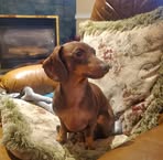 Colin Osterman - Facebook