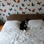 colin owens - @colinowens46 - Instagram