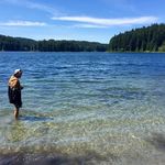 Colin Miles Bayfield - @professionalpaintercolin - Instagram