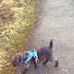 Colin Glen Forest Park - Facebook