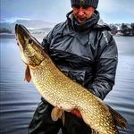Colin Appleton - @colinpassout - Instagram