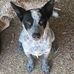 Colin Pass - Facebook