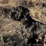 Colin Pass - @colinpass - Instagram