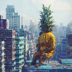 COLIN PATRICK - @onthesearchforpineapples - Instagram