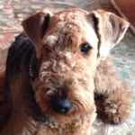 Colin Patterson - @colinpatterson5009 - Instagram