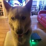 Colin Patton - @heckubus12 - Instagram
