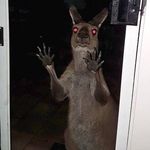 Colin Patton - @colin.heckubus - Instagram