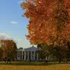 Colin Patton - @colin.patton1 - TikTok