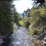 Colin Pedersen - @pedersen_colin - Instagram
