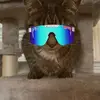 Colin Pendergast - @colin.pendergast - TikTok