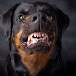 Colin Penner - @_colin_penner - Instagram