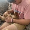 colinapc - @colinpennington4595 - TikTok