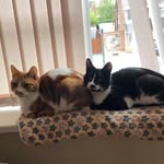 Colin & Percy - @colinandpercy - Instagram