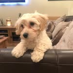 Colin Percy - @colinpercy2018 - Instagram