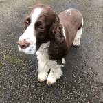 Colin Perry - @colinperry46 - Instagram
