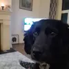 colinperry87 - @colinperry87 - TikTok