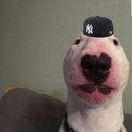 colinman - @colin_peterson13 - Instagram
