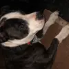 Colin Pike - @we.love.edits__ - TikTok