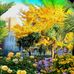 Colin Pinto - Facebook