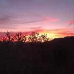 Colin Westcott-Pitt - @colinwp - Instagram