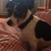 Collin Pyle - Facebook