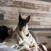 Colin Ramsay - @colin.ramsay4 - TikTok