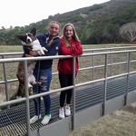Colin Roche - @colin.roche.37 - Instagram