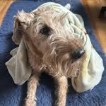 Colin Roche - @colinroche66 - Instagram