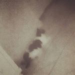 iamacat - @colindrarodericka4 - Instagram