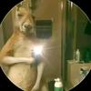 colin - @.colin_rojas - TikTok